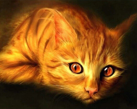 5D DIY Diamond Painting Kit Striking eyed Cat FULL DRILL ( 4 to 7  WEEKS arrival)