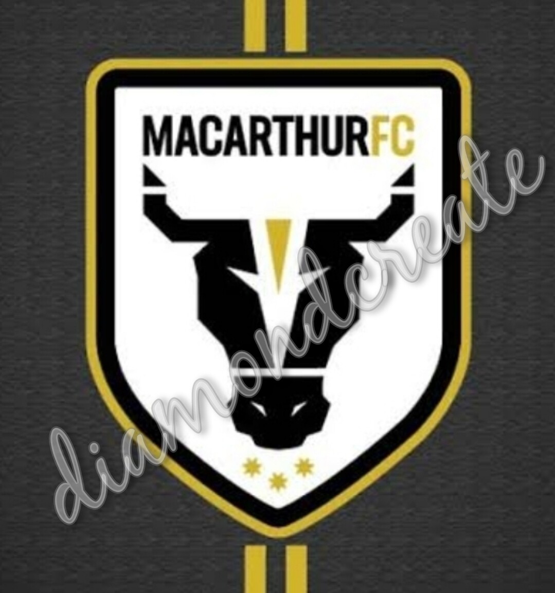 5D DIY Diamond Painting Kit IN STOCK A LEAGUE Macarthur FC 50 x 50cm FULL DRILL Square