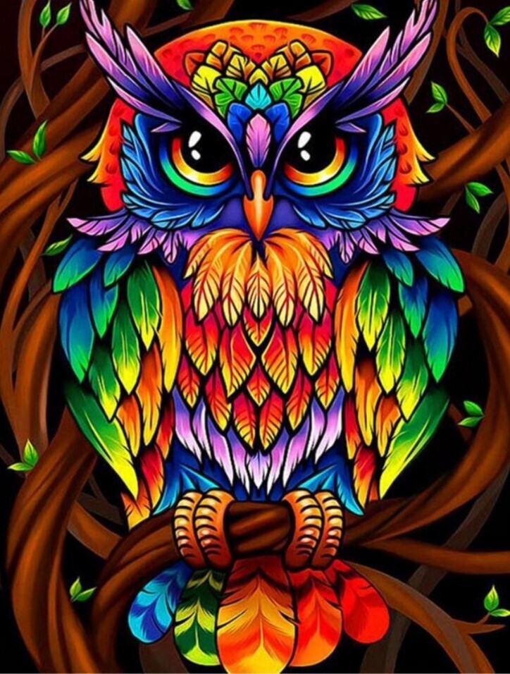 5D DIY Diamond Painting Kit Rainbow Owl FULL DRILL ( 4 to 7 WEEKS arrival)