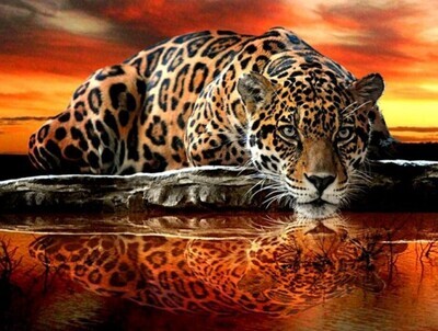 5D DIY Diamond Painting Kit Prowling Jaguar FULL DRILL ( 4 to 7 WEEKS arrival)