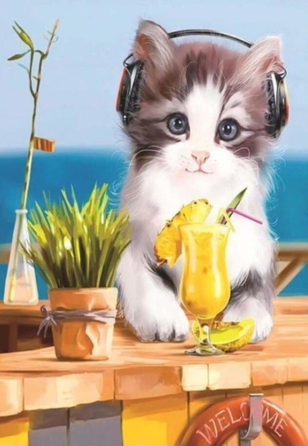 5D DIY Diamond Painting Kit Kitty and his beats FULL DRILL ( 4 to 7 WEEKS arrival)