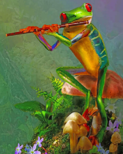 5D DIY Diamond Painting Kit Musical Frog ( 4 to 7 WEEKS arrival)