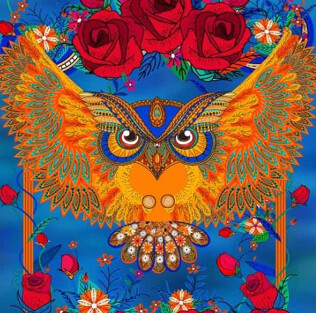 5D DIY Diamond Painting Kit Rosey Owl CANVAS SIZE 40 x 50cm FULL DRILL round