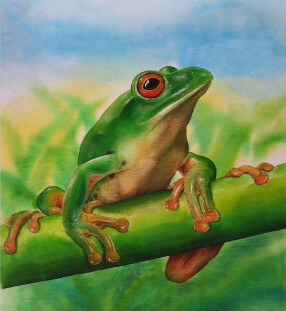 5D DIY Diamond Painting Solo Frog #4 FULL DRILL ( 4 to 7 WEEKS arrival)