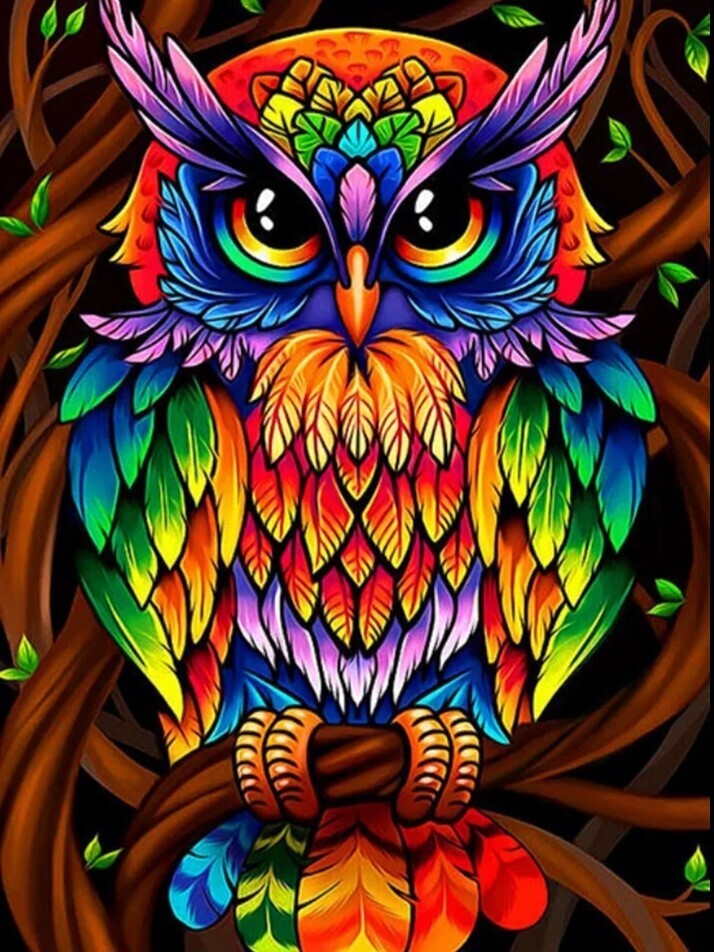 PREMIUM DIAMOND PAINTING KIT RAINBOW OWL 40 x 50 SQUARE RESIN