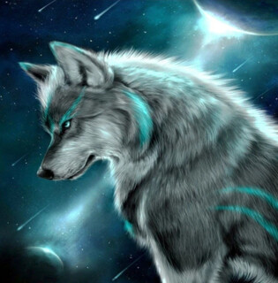PREMIUM DIAMOND PAINTING KIT MOON WOLF 50 x 50CM SQUARE RESIN