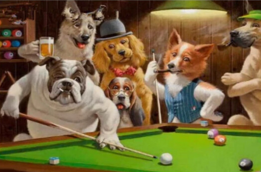 PREMIUM DIAMOND PAINTING KIT DOGS PLAYING POOL 50 X 70CM SQUARE RESIN