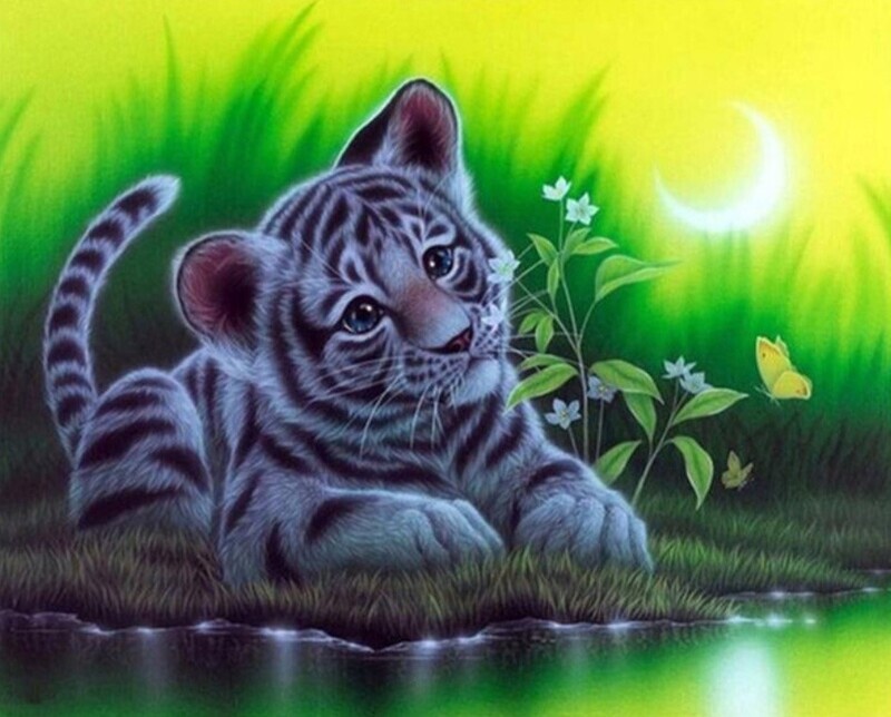 PREMIUM DIAMOND PAINTING KIT TIGER CUB 40 X 50CM FULL DRILL ROUND