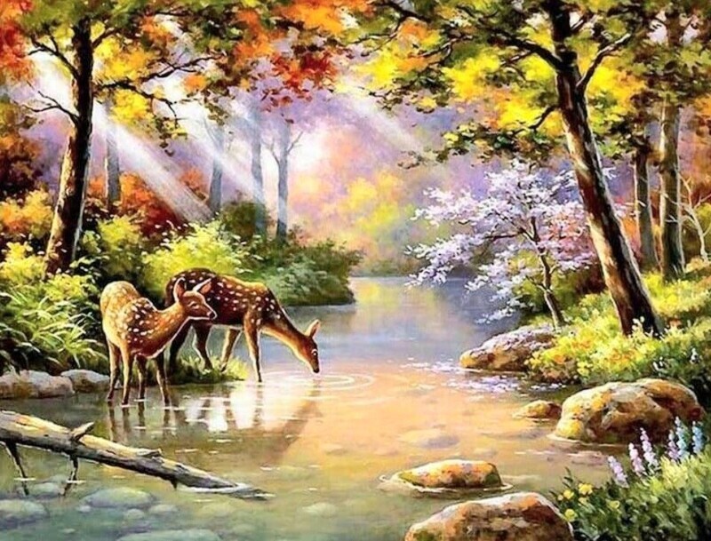 PREMIUM DIAMOND PAINTING KIT IN THE WOODS 50 X 70CM FULL DRILL ROUND