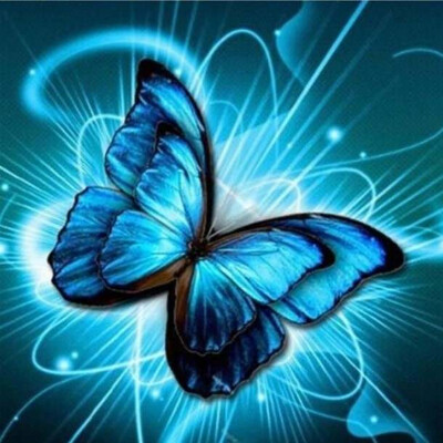 5D DIY Diamond Painting Kit Blue Butterfly 40 x40cm FULL DRILL Square - poured glue