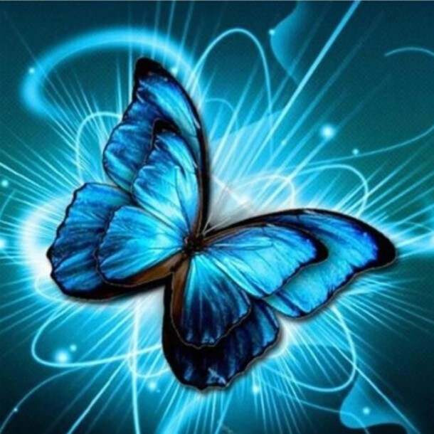 5D DIY Diamond Painting Kit Blue Butterfly  40 x40cm FULL DRILL Square - poured glue