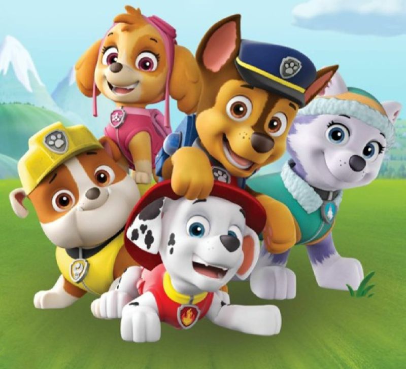 5D DIY Diamond Painting Kit Paw Patrol  40 x 40cm FULL DRILL Square - poured glue