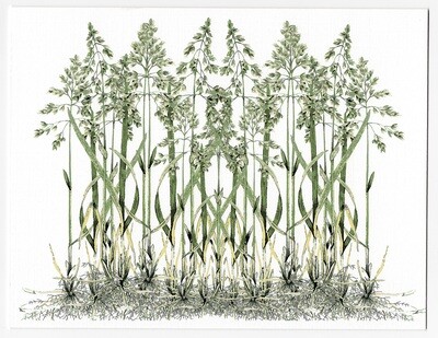 Sweetgrass greeting card