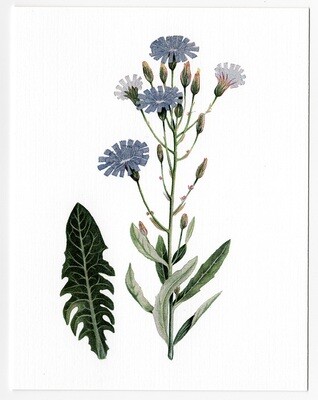 Blue Lettuce greeting card