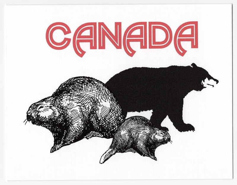 Canadian Beaver Greeting Card