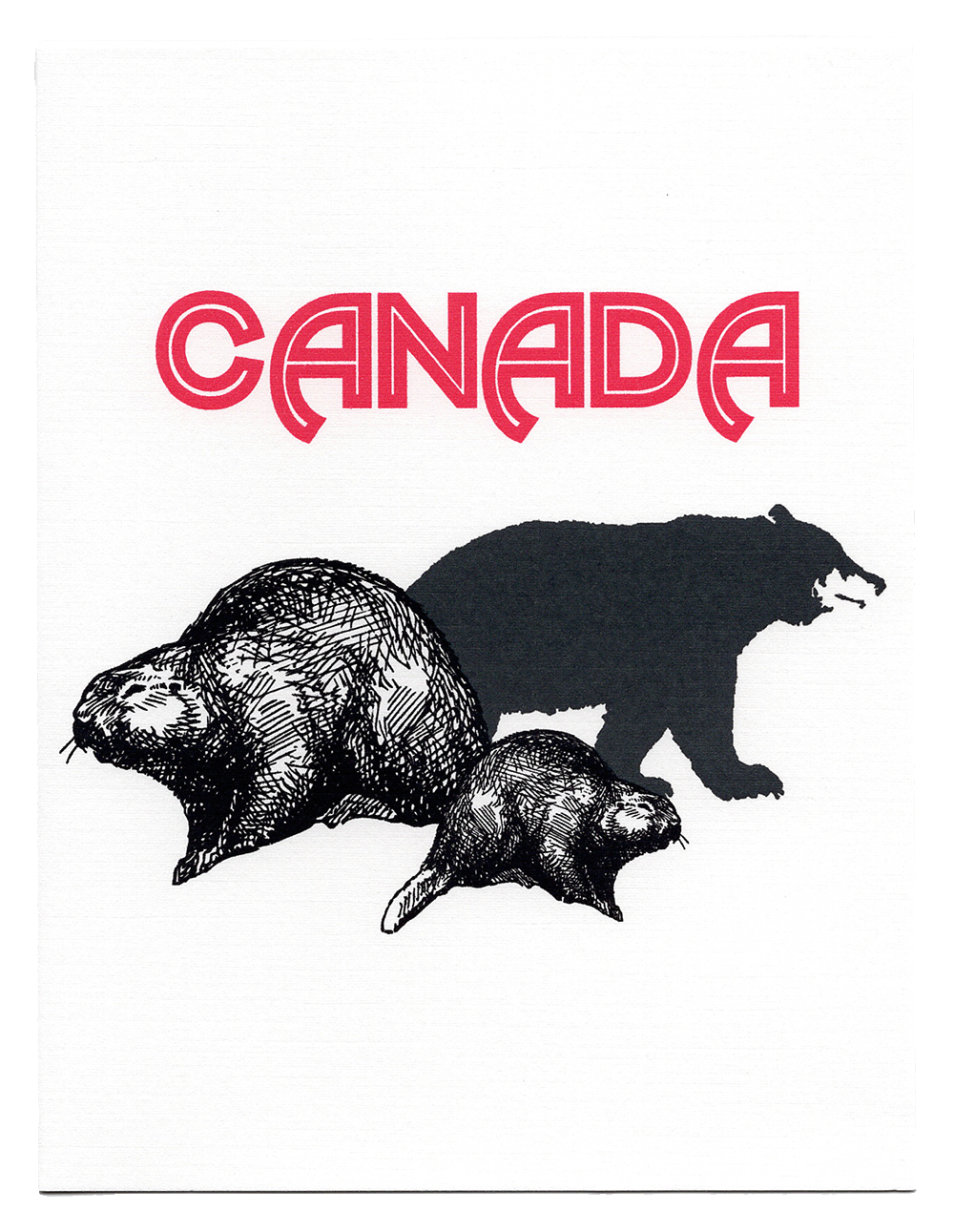 Canadian beaver greeting card