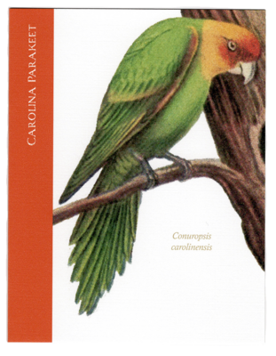 Carolina Parakeet greeting card