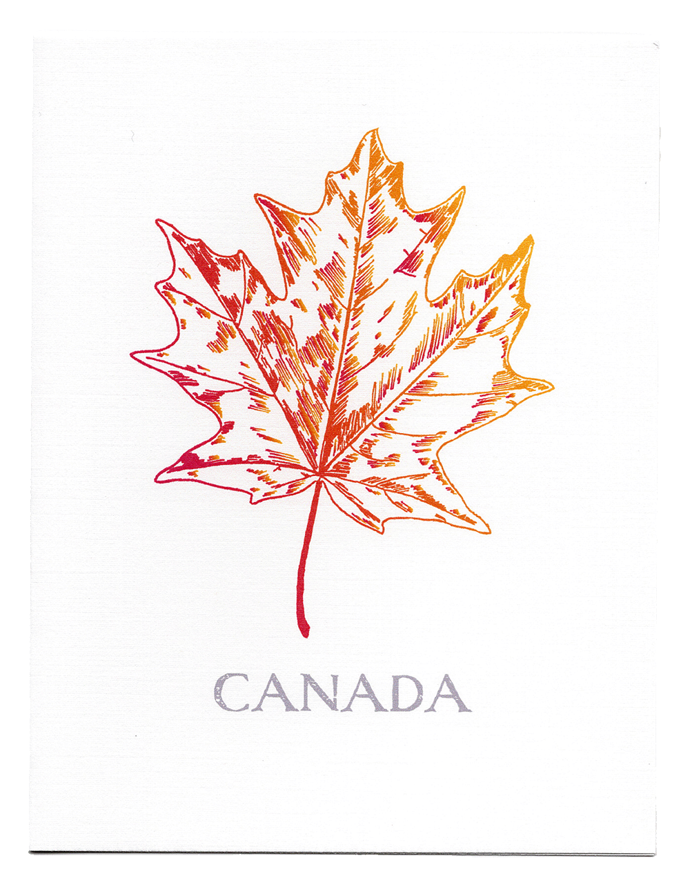 Canadian maple leaf greeting card