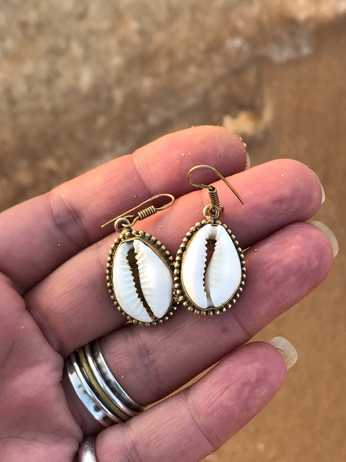 Cowrie Shell Brass Earrings