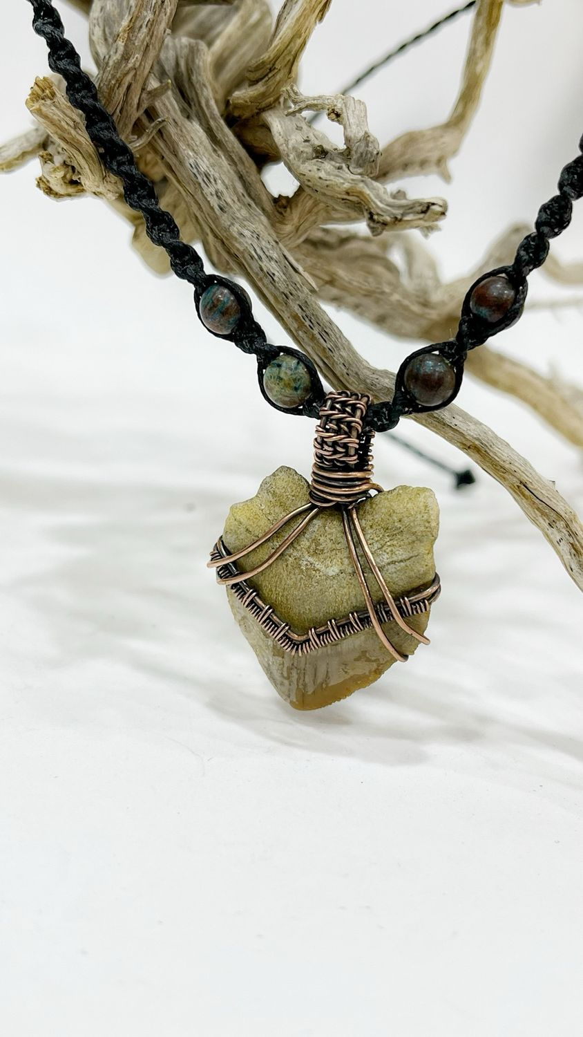 Fossilized Shark Tooth Wire Wrapped In Copper