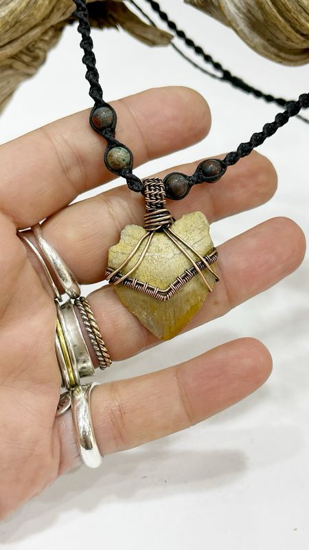 Fossilized Shark Tooth Wire Wrapped In Copper