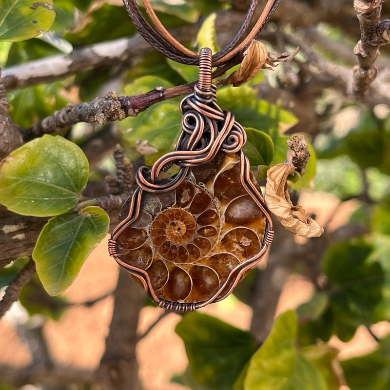 Ammonite Fossil Necklace