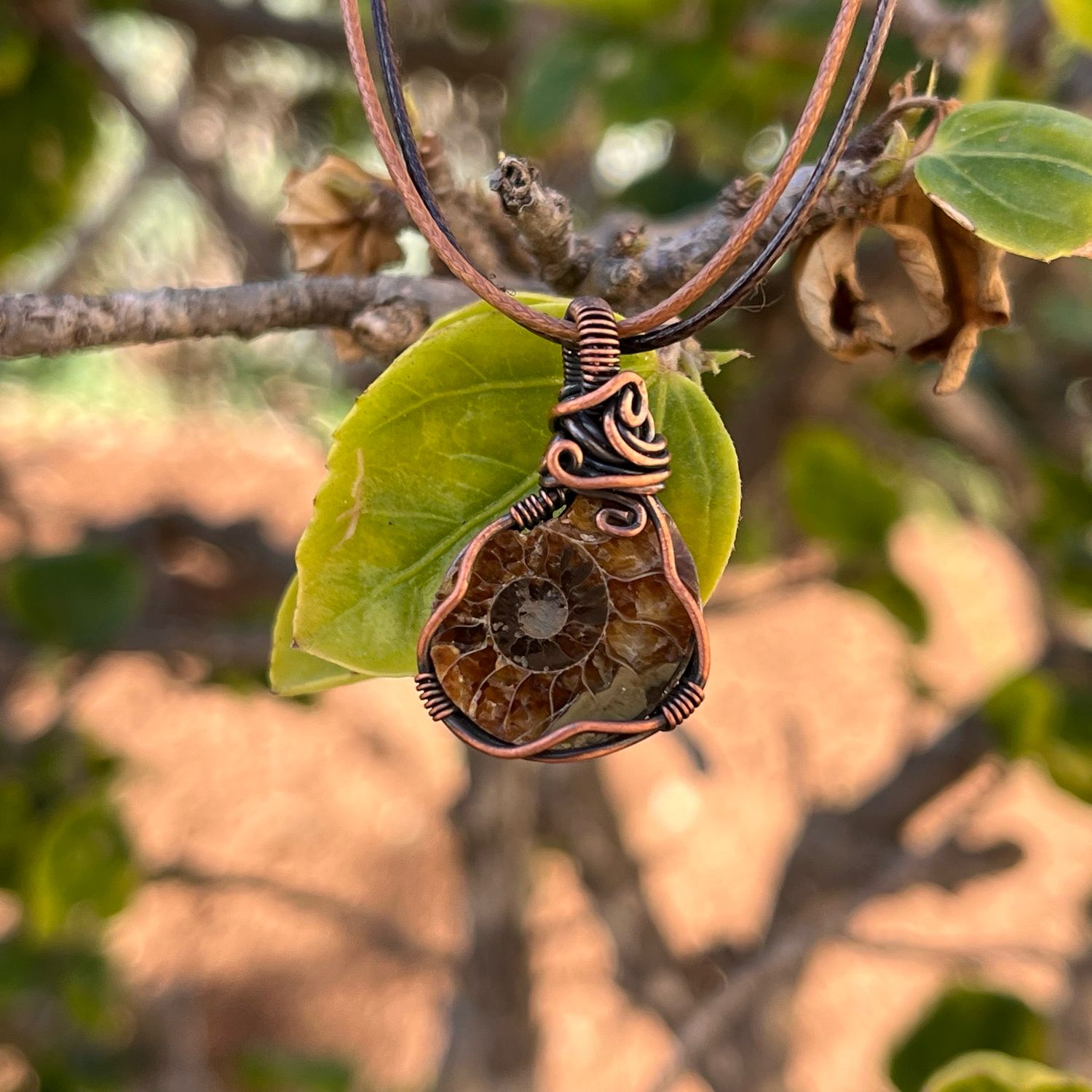 Ammonite Wire Wrapped Necklace