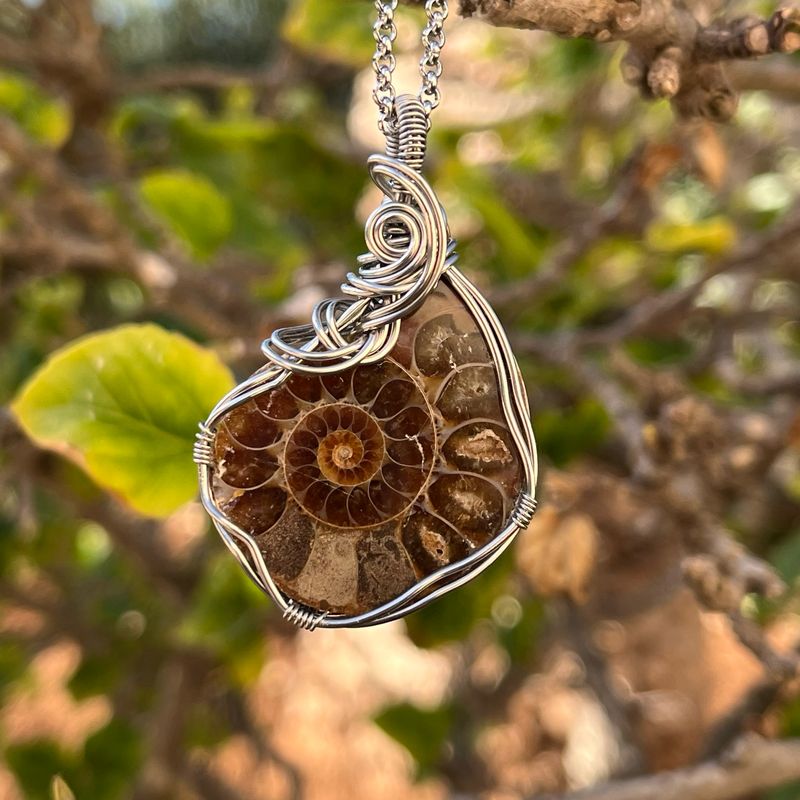 Ammonite Stainless Steel Necklace