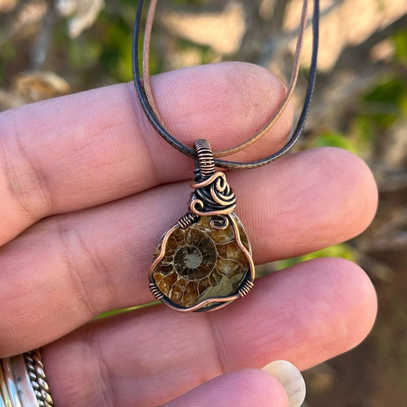 Ammonite Wire Wrapped Necklace