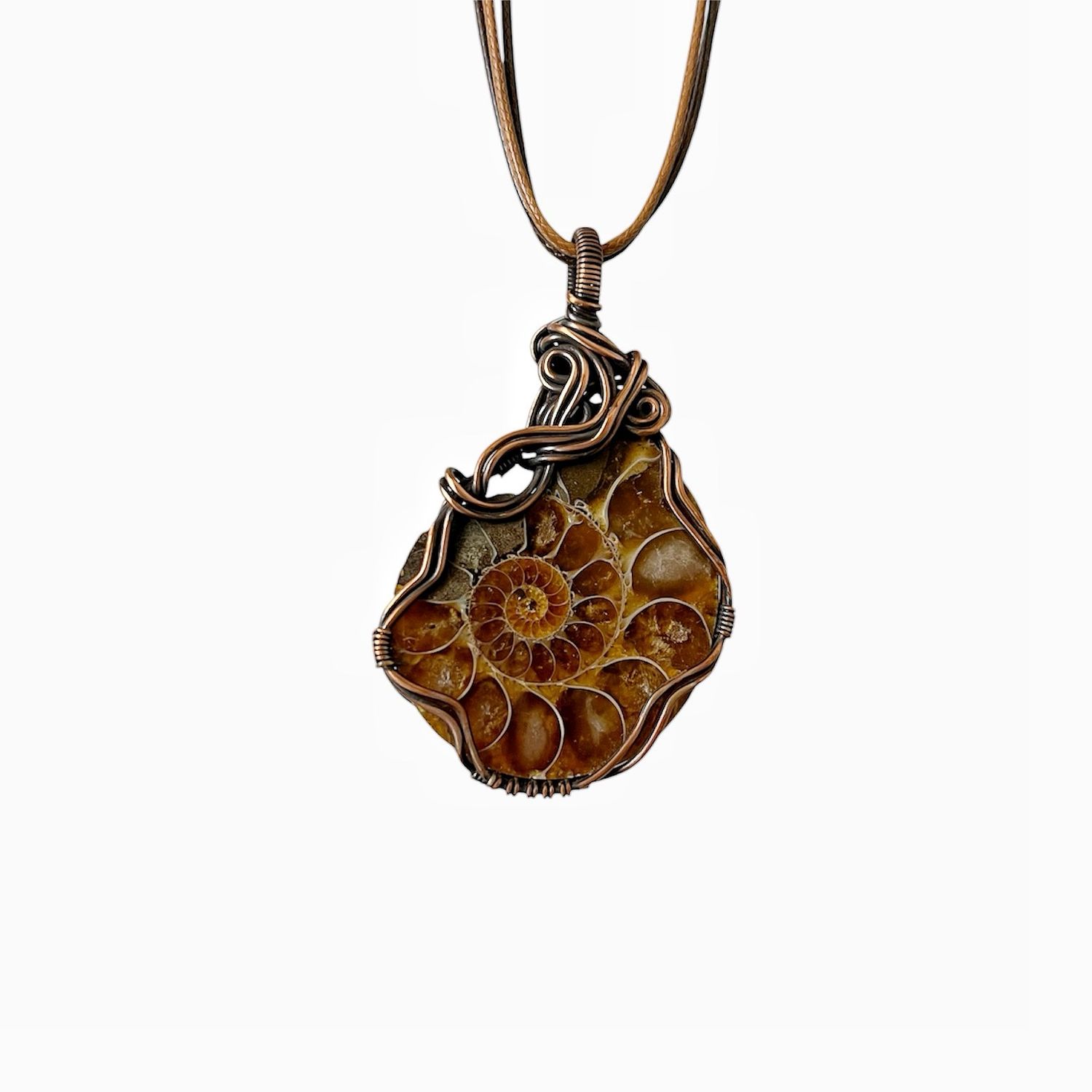 Ammonite Fossil Necklace