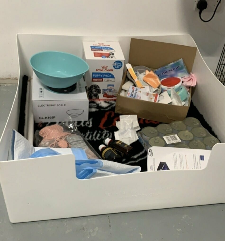 Setting up sales a whelping box