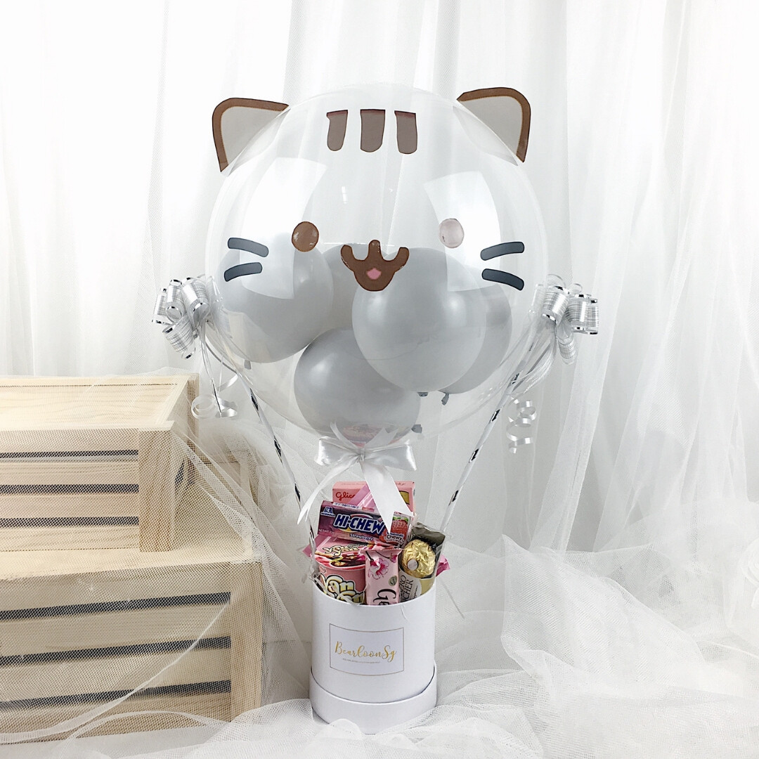 Hot Air Balloon with 3D Pusheen
Snack box