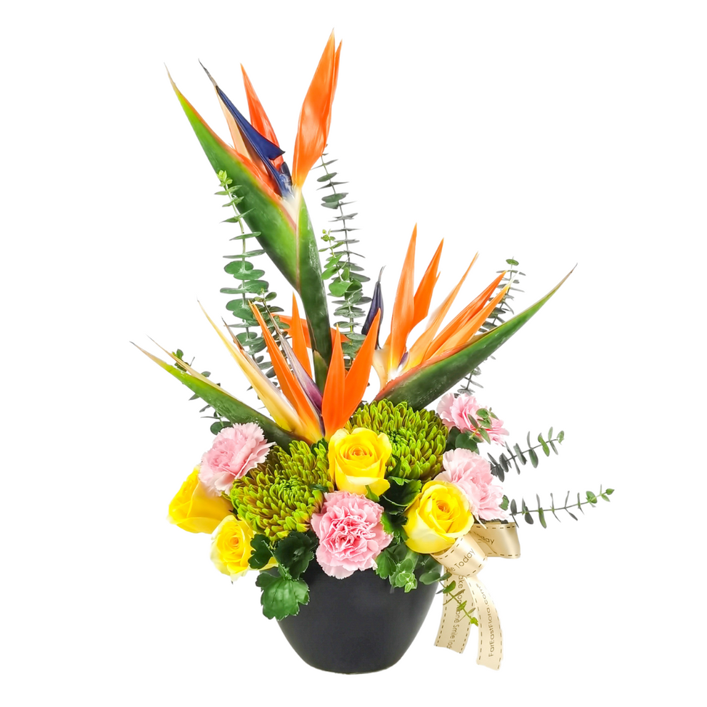 Basket arrangement B017