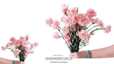Light Pink Mini Carnation Flower