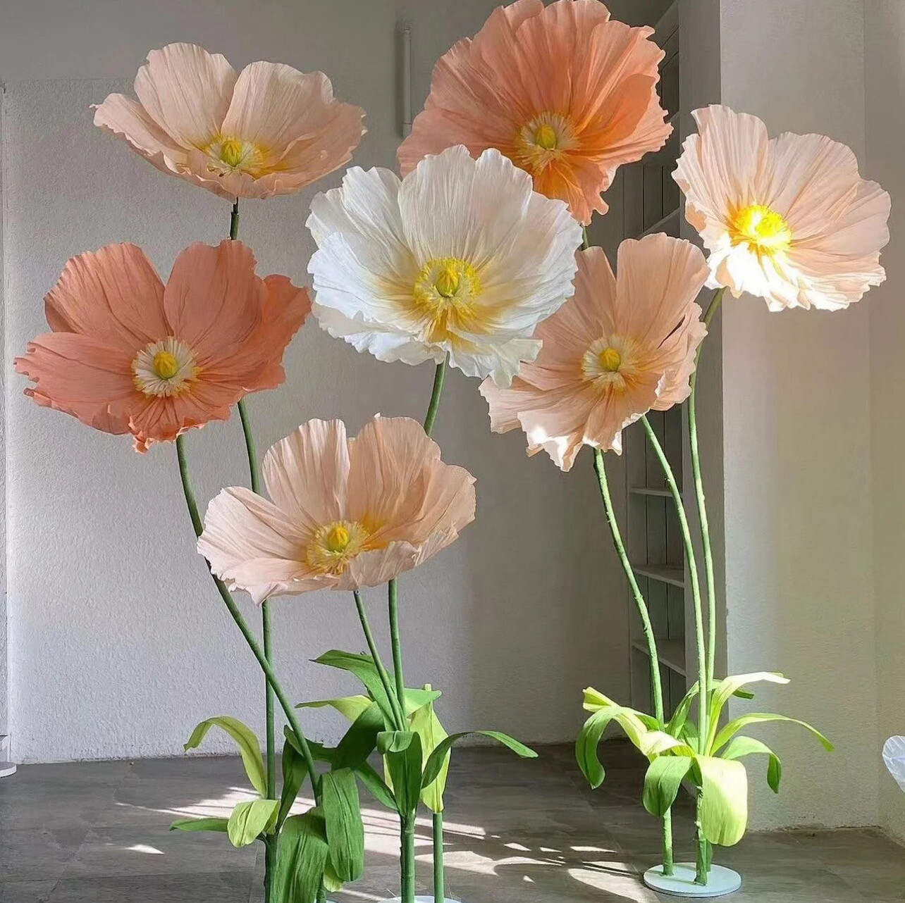 "Blossoming Splendor: Giant Poppy Flower Extravaganza"