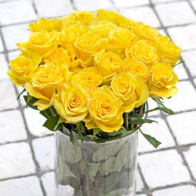 Yellow Rose
