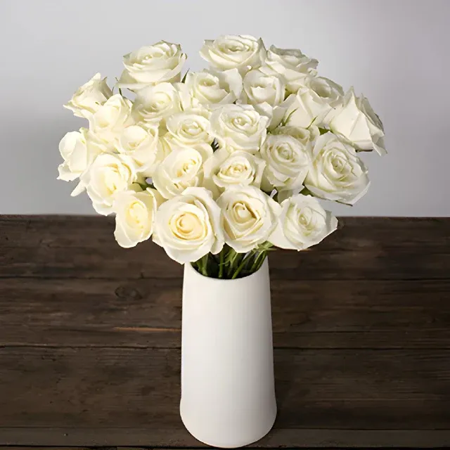 Eskimo White Roses
