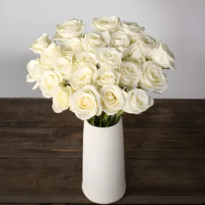 Eskimo White Roses