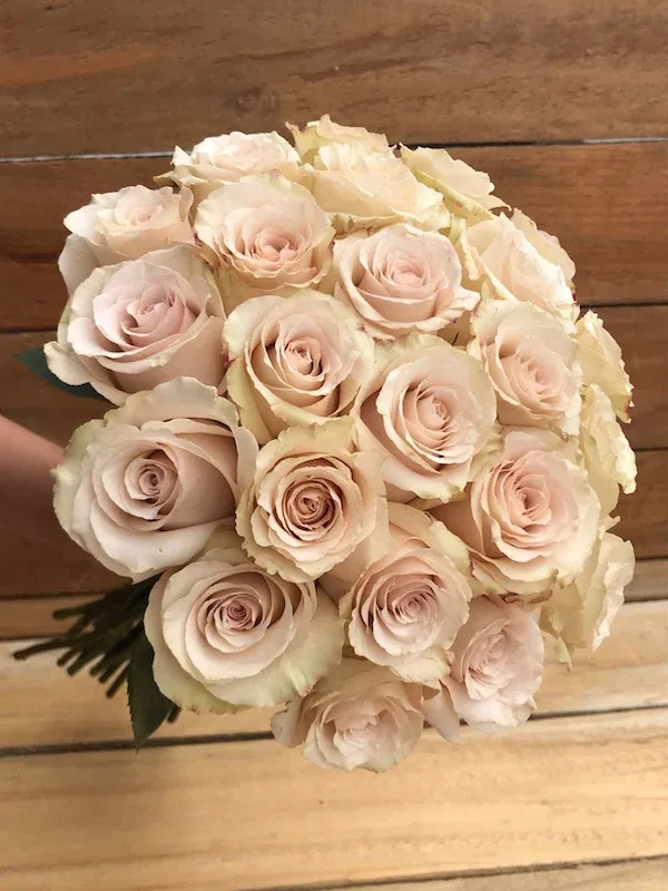Quicksand Cream Roses