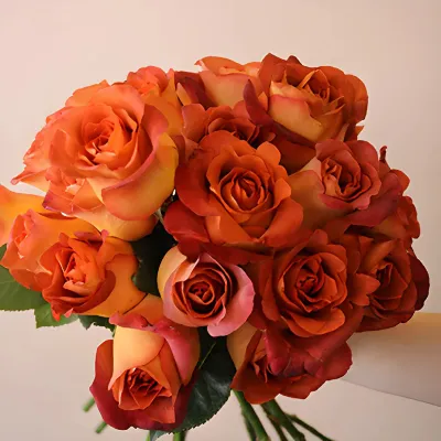 Coffee Break Terracotta Rose
