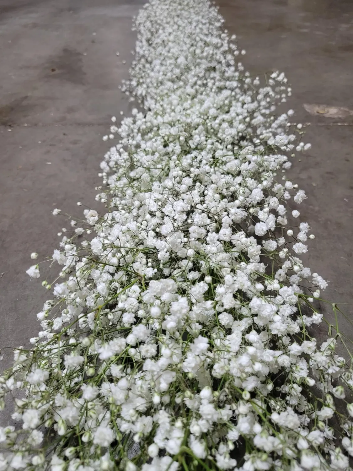Baby&#39;s Breath Garland