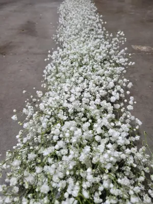 Baby&#39;s Breath Garland