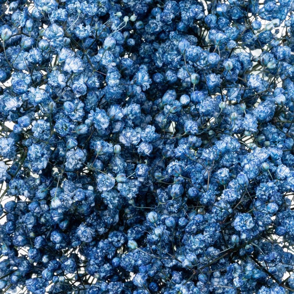 Royal Blue Airbrushed Baby&#39;s Breath Flower
