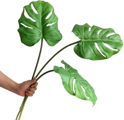 Small Monstera Leaves Tropical Greenery ( 5 Stem Bunches )