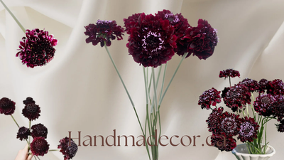 Burgundy Scabiosa Flower