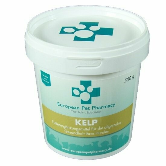 Kelp