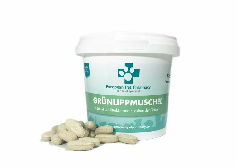 Grünlippmuschel