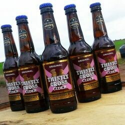 Thistle Cross Original Scottish Cider 6.2% abv