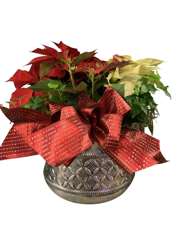 Small Seasonal Arrangement in Decorative Basket