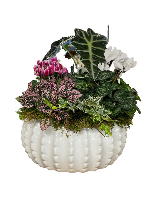 Mixed Arrangement